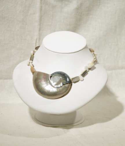 Nautilus Shell Necklace